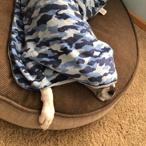 Meet your Posher, Dorothy